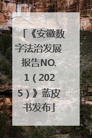 《安徽数字法治发展报告NO.1（2025）》蓝皮书发布