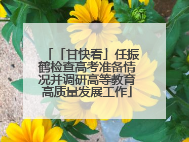 「甘快看」任振鹤检查高考准备情况并调研高等教育高质量发展工作