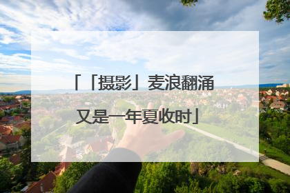 「摄影」麦浪翻涌 又是一年夏收时