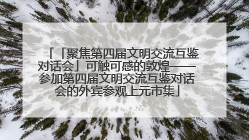 「聚焦第四届文明交流互鉴对话会」可触可感的敦煌——参加第四届文明交流互鉴对话会的外宾参观上元市集