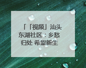 「视频」汕头东湖社区：乡愁归处 希望新生｜大美岭南·百村焕新记