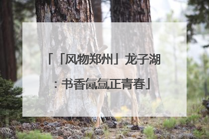 「风物郑州」龙子湖：书香氤氲正青春
