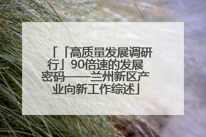 「高质量发展调研行」90倍速的发展密码——兰州新区产业向新工作综述