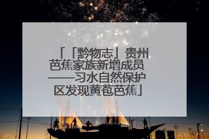 「黔物志」贵州芭蕉家族新增成员——习水自然保护区发现黄苞芭蕉
