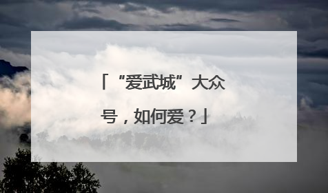 “爱武城”大众号，如何爱？