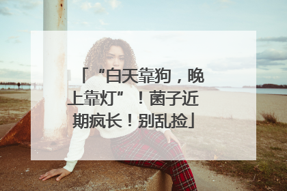 “白天靠狗，晚上靠灯”！菌子近期疯长！别乱捡