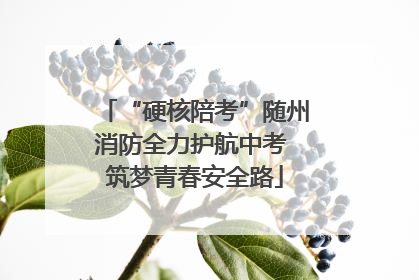 “硬核陪考”随州消防全力护航中考 筑梦青春安全路