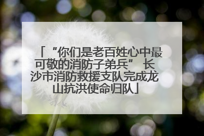 “你们是老百姓心中最可敬的消防子弟兵” 长沙市消防救援支队完成龙山抗洪使命归队