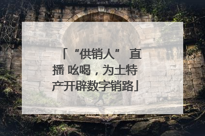 “供销人” 直播 吆喝，为土特产开辟数字销路