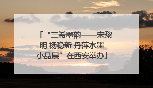 “三希墨韵——宋黎明 杨稳新 丹萍水墨小品展”在西安举办