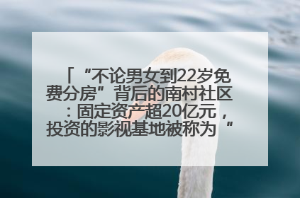 “不论男女到22岁免费分房”背后的南村社区：固定资产超20亿元，投资的影视基地被称为“山村好莱坞”