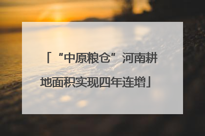 “中原粮仓”河南耕地面积实现四年连增
