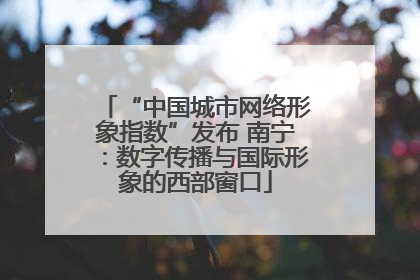 “中国城市网络形象指数”发布 南宁：数字传播与国际形象的西部窗口