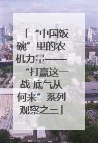 “中国饭碗”里的农机力量——“打赢这一战 底气从何来”系列观察之三