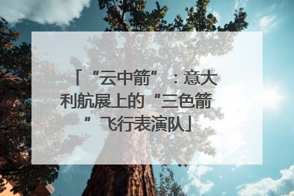“云中箭”：意大利航展上的“三色箭”飞行表演队