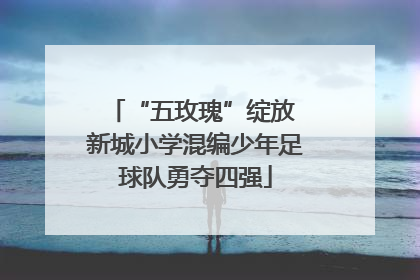 “五玫瑰”绽放 新城小学混编少年足球队勇夺四强