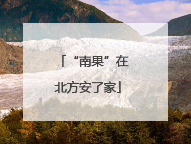 “南果”在北方安了家