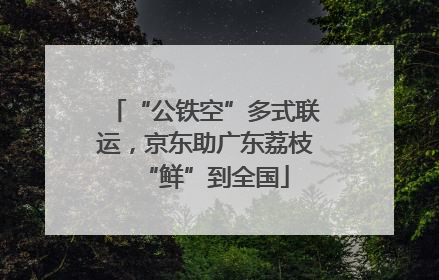 “公铁空”多式联运，京东助广东荔枝“鲜”到全国
