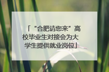 “合肥请您来”高校毕业生对接会为大学生提供就业岗位