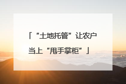 “土地托管”让农户当上“甩手掌柜”