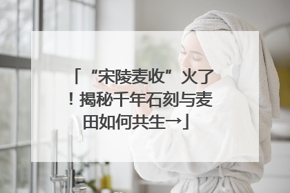 “宋陵麦收”火了！揭秘千年石刻与麦田如何共生→