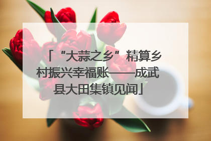 “大蒜之乡”精算乡村振兴幸福账——成武县大田集镇见闻