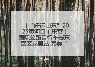 “好运山东”2025黄河口（东营）国际公路自行车赛东营区龙居站 完美“抄作业”，苦战最后时刻黄衫易主