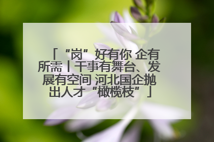 “岗”好有你 企有所需丨干事有舞台、发展有空间 河北国企抛出人才“橄榄枝”