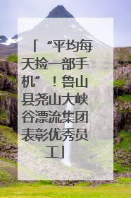 “平均每天捡一部手机”！鲁山县尧山大峡谷漂流集团表彰优秀员工
