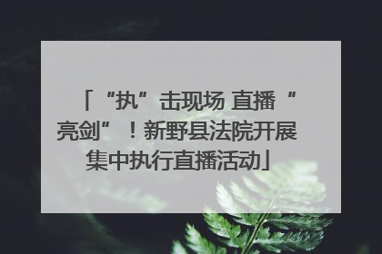 “执”击现场 直播“亮剑”！新野县法院开展集中执行直播活动