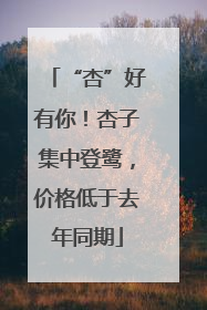 “杏”好有你！杏子集中登鹭，价格低于去年同期