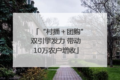 “村播＋团购”双引擎发力 带动10万农户增收