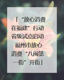 “放心消费在福建”行动省级试点启动 福州市放心消费“八闽第一街”开街