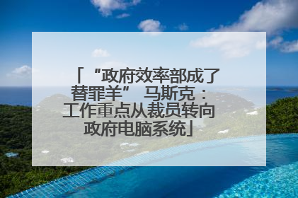 “政府效率部成了替罪羊” 马斯克：工作重点从裁员转向政府电脑系统