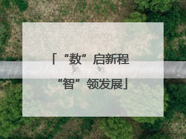 “数”启新程 “智”领发展