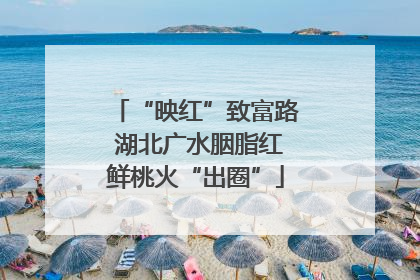 “映红”致富路 湖北广水胭脂红鲜桃火“出圈”