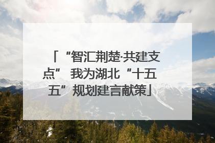 “智汇荆楚·共建支点” 我为湖北“十五五”规划建言献策