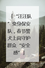 “汪汪队”变身保安队，春节警犬上岗守护群众“安全感”