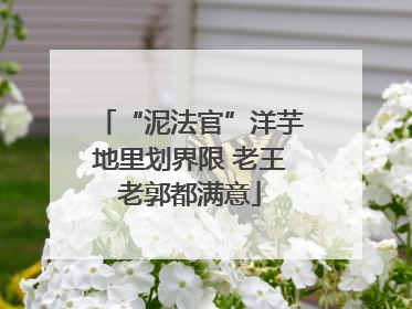 “泥法官”洋芋地里划界限 老王老郭都满意
