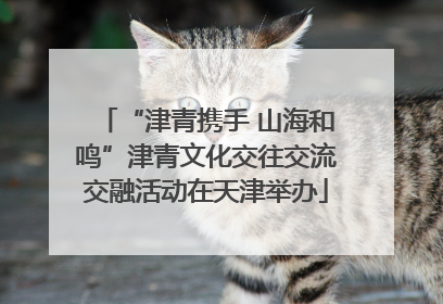 “津青携手 山海和鸣”津青文化交往交流交融活动在天津举办