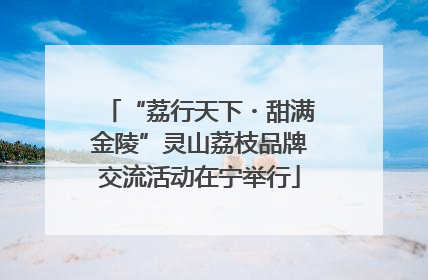 “荔行天下・甜满金陵”灵山荔枝品牌交流活动在宁举行
