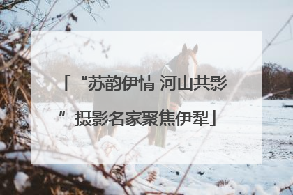 “苏韵伊情 河山共影”摄影名家聚焦伊犁