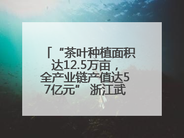 “茶叶种植面积达12.5万亩，全产业链产值达57亿元” 浙江武义茶产业全链发展“加速度”