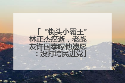 “街头小霸王”林正杰癌逝，老战友许国泰曝他遗愿：没打垮民进党