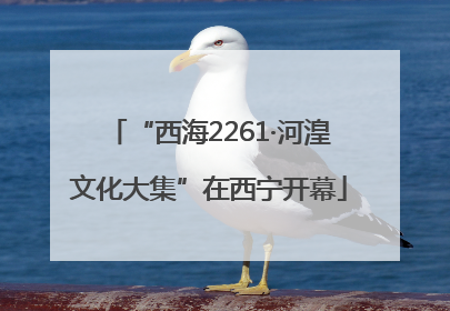 “西海2261·河湟文化大集”在西宁开幕