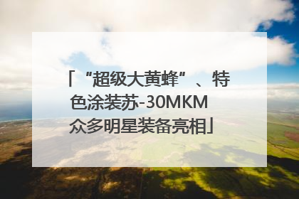 “超级大黄蜂”、特色涂装苏-30MKM 众多明星装备亮相