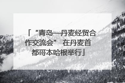“青岛—丹麦经贸合作交流会” 在丹麦首都哥本哈根举行