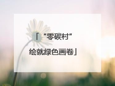 “零碳村” 绘就绿色画卷