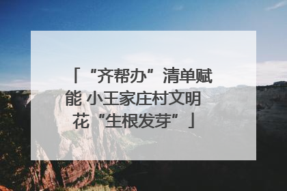 “齐帮办”清单赋能 小王家庄村文明花“生根发芽”