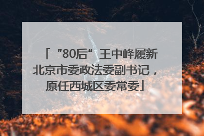 “80后”王中峰履新北京市委政法委副书记，原任西城区委常委